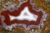 Polished Banded Agate Nodule - Kerrouchen, Morocco #326535-1